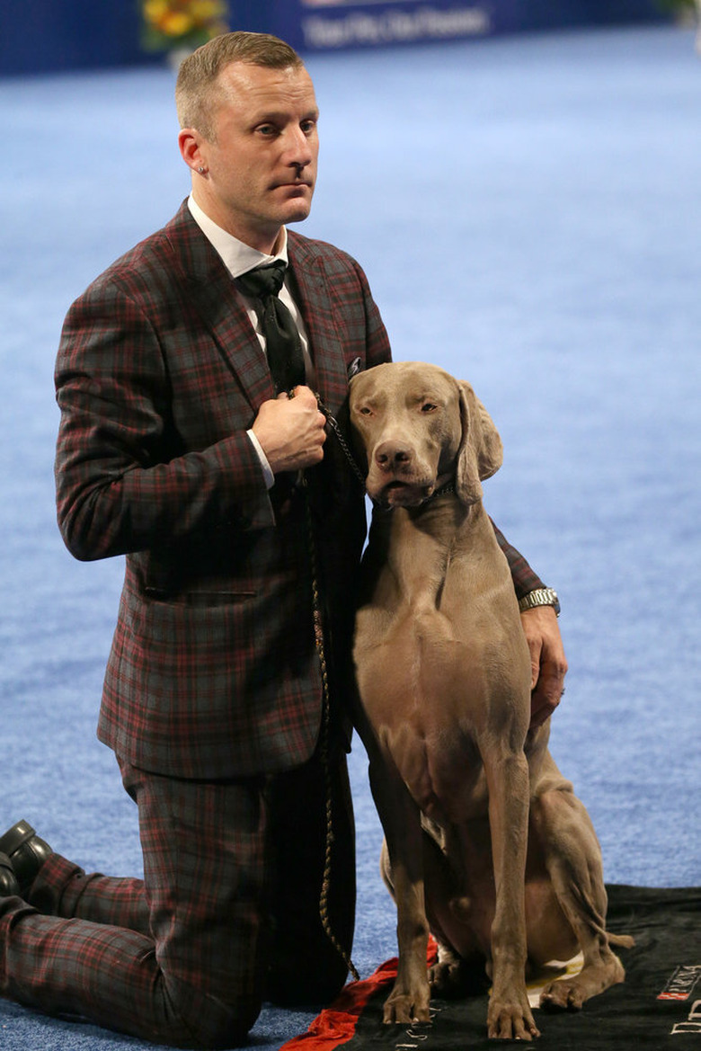 National Dog Show 2019