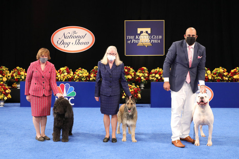 National Dog Show 2020