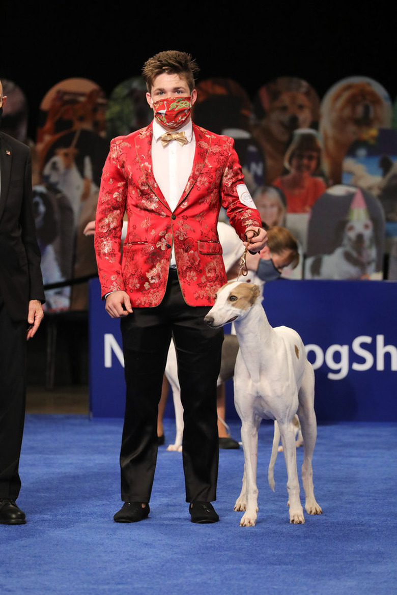 National Dog Show 2020