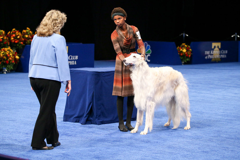 National Dog Show 2021 Winner