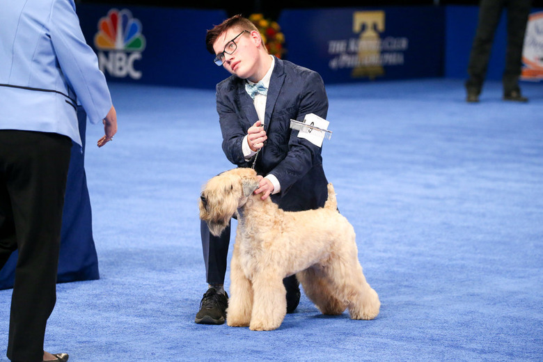 National Dog Show 2021 Winner