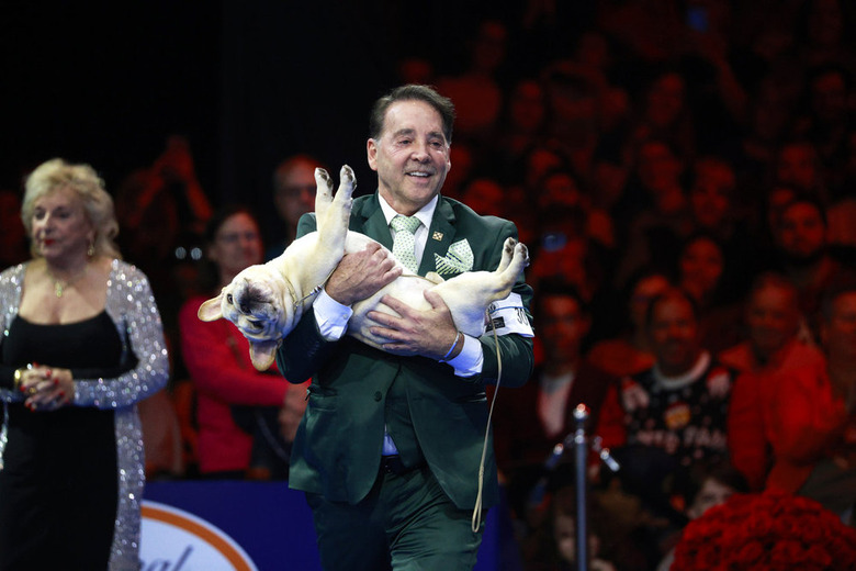 National Dog Show 2024 Photos