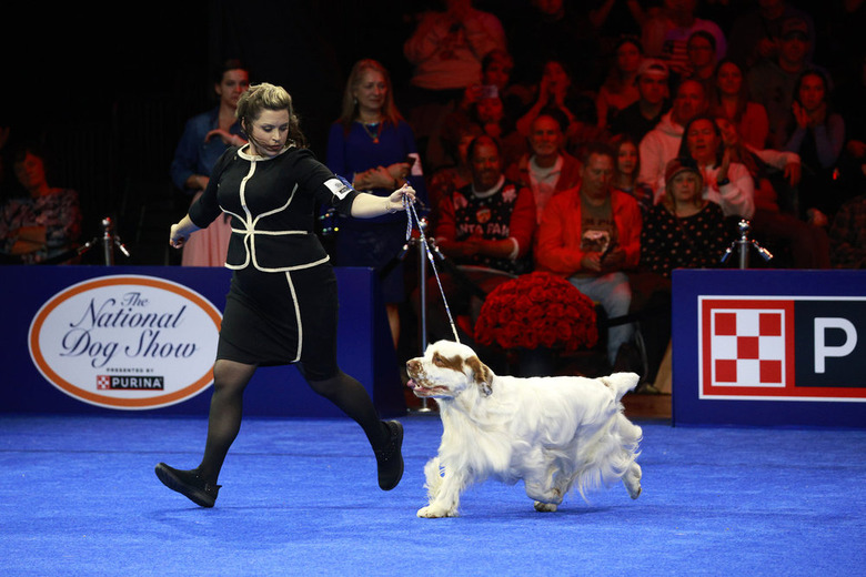 National Dog Show 2024 Photos