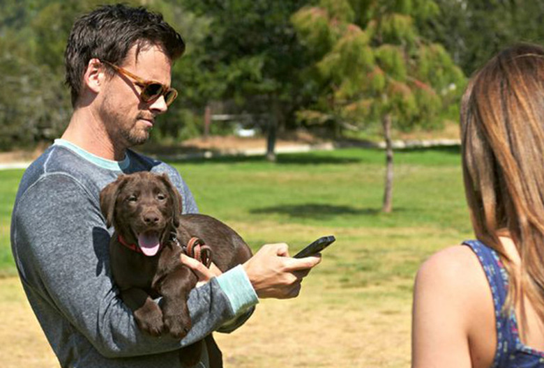 National Puppy Day 2016