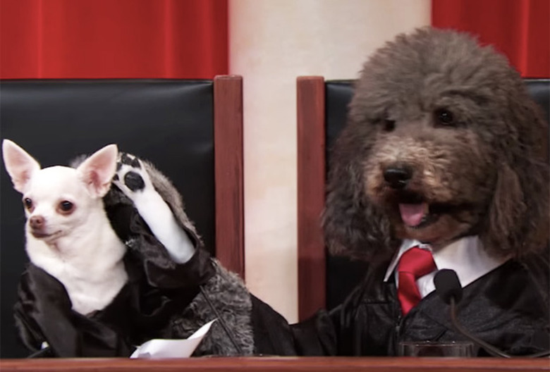 National Puppy Day 2016