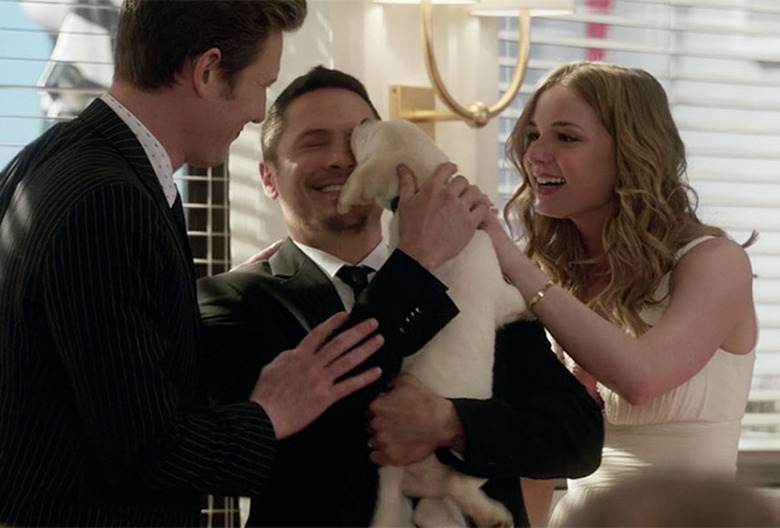 National Puppy Day 2016