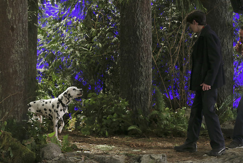 JARED S. GILMORE