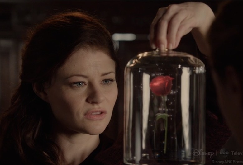 Once-Belle-Rose