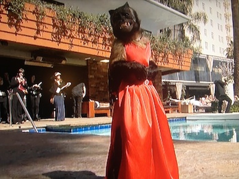 Oscars 2013 Red Carpet