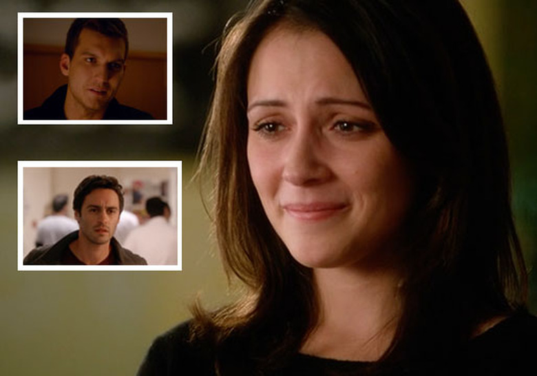 ShipShape_ChasingLife_DW