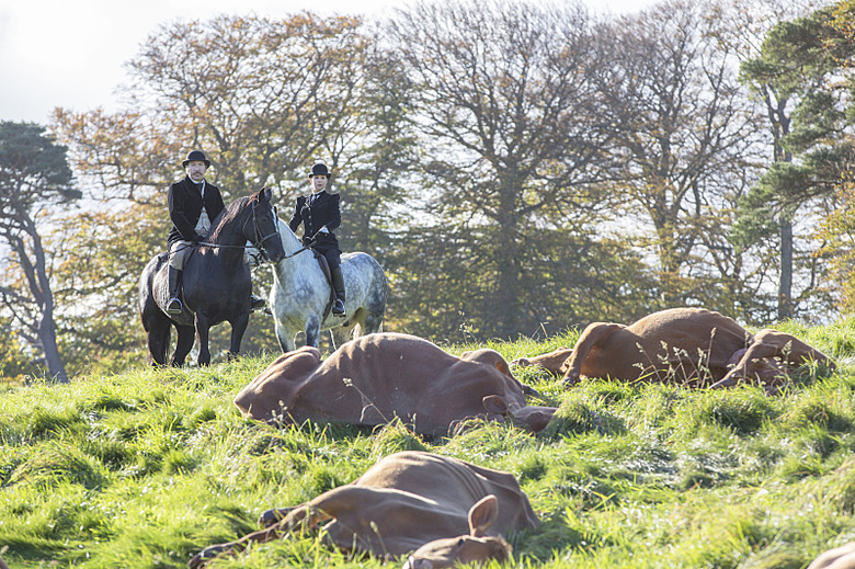 PennyDreadful_203_3828.R