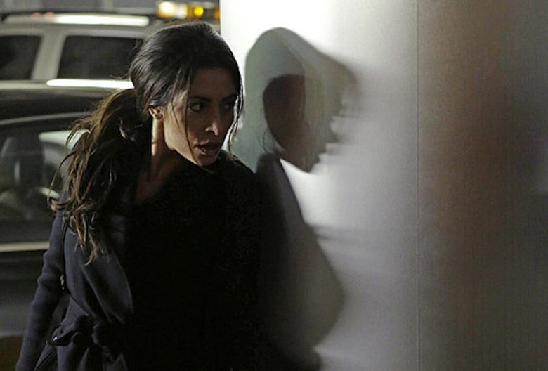 Person of Interest Shaw