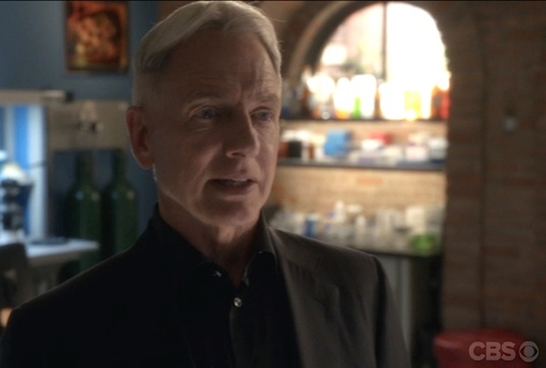 ncis-gibbs-hashtag-quote