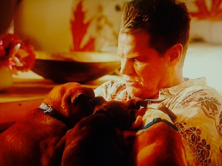 cougar-town-quote-bobby-nurturing-bitch