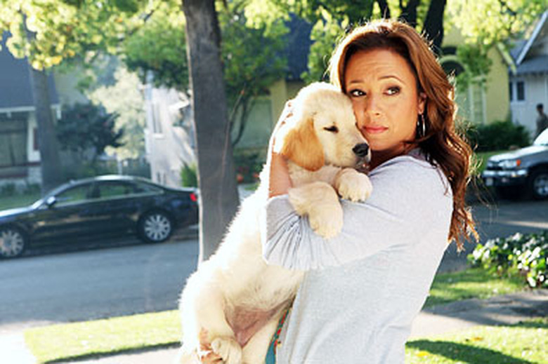 Cancelled-Shows-Leah-Remini-Family-Tools