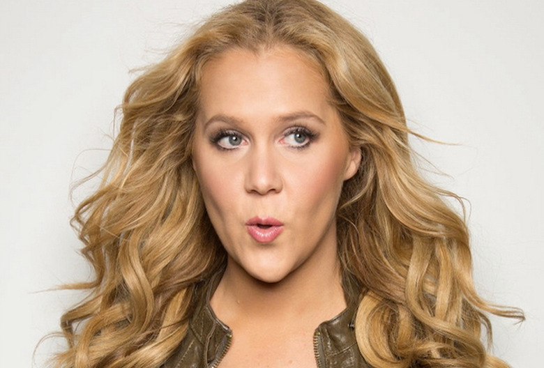 Inside Amy Schumer Season 5: Renewed or Cancelled?