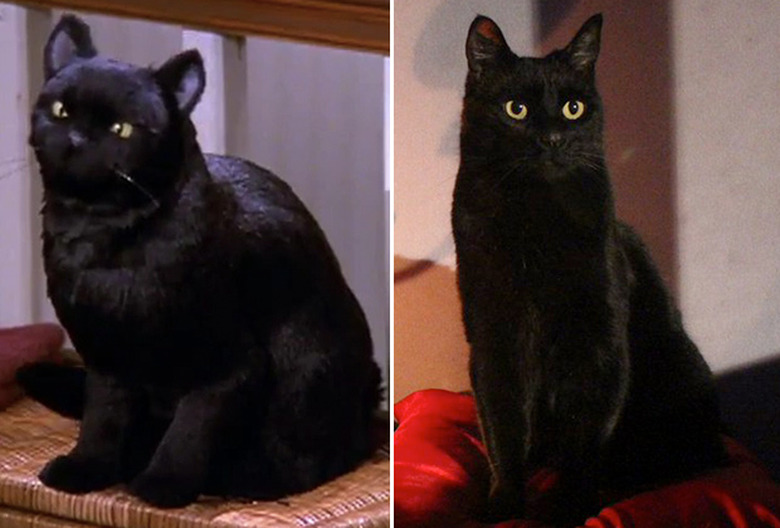 Sabrina Netflix Series Cast Changes