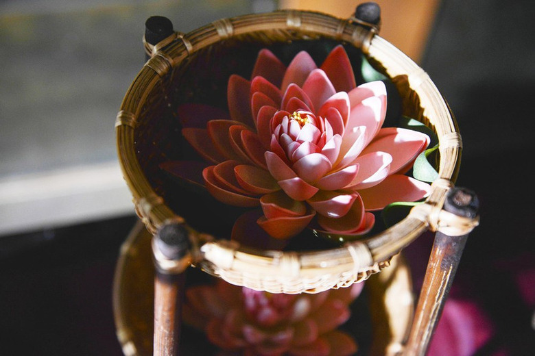 Satisfaction Season Finale