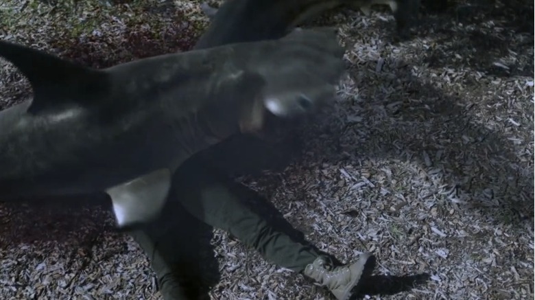 sharknado-47-mattswife