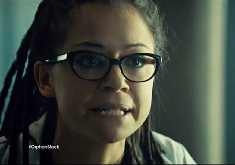 ShipShape_CosimaDelphine_DW