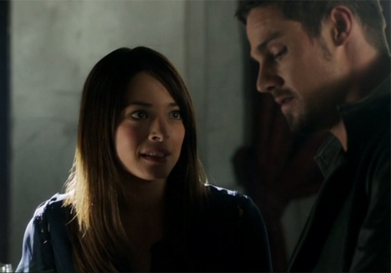 batb-vincent-cat