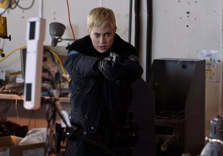 ShipShape_RookieBlue_DW