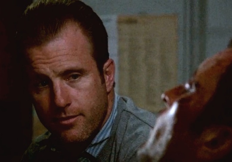 ShipShape_H50_McDanno copy