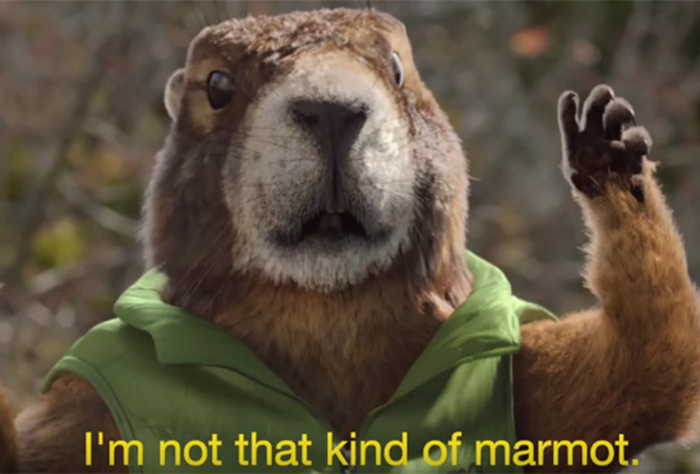 super-bowl-commercials-marmot