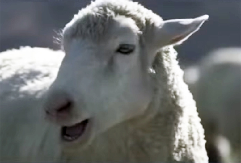 superbowl-commercials-2016-sheep