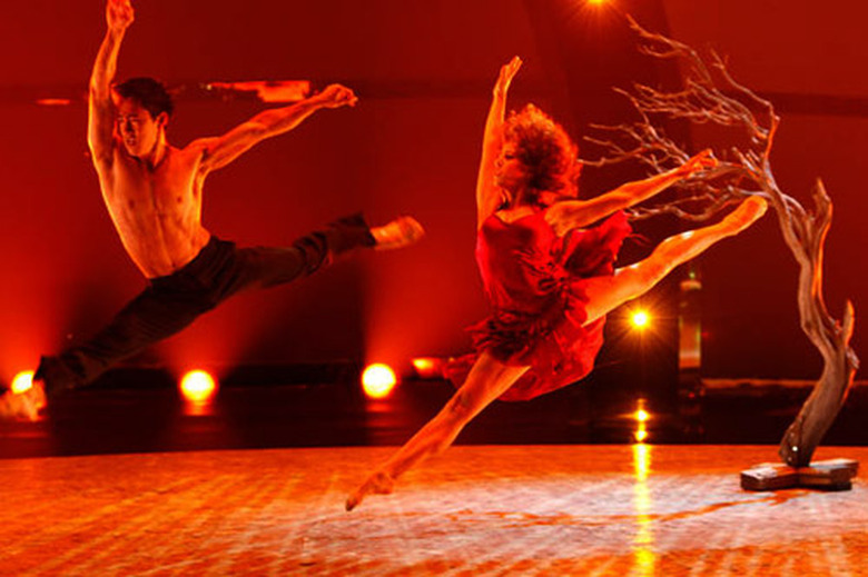 SYTYCD-Alex-Wong-Elaina_500