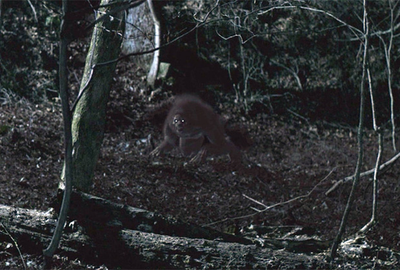 Teen Wolf Pilot Moments