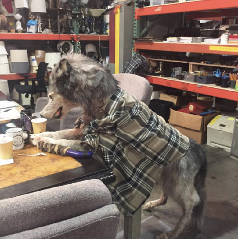 Teen Wolf Series Finale Photos