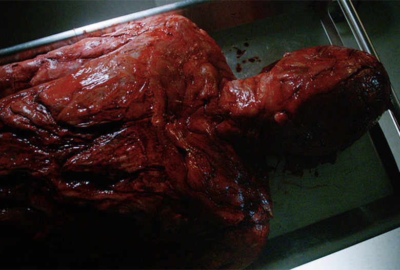 Teen Wolf Spoilers Season 6B