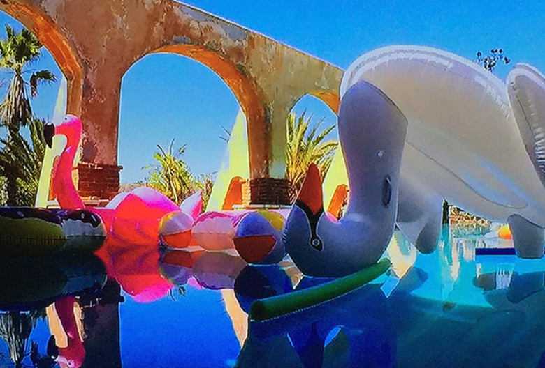 The Bachelorette Chad Eliminated