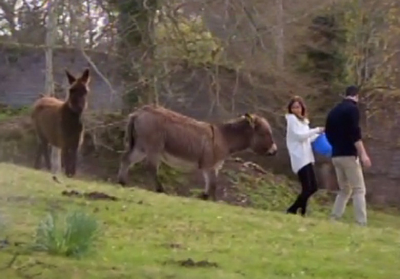the-bachelorette-kaitlyn-ben-donkeys