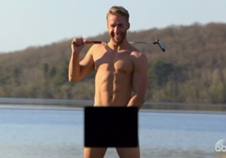 the-bachelorette-shawn-naked