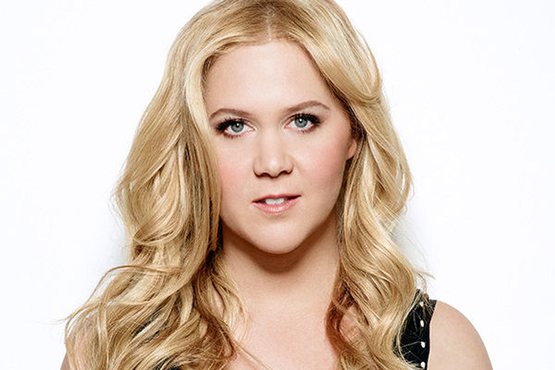 Inside Amy Schumer Renewed