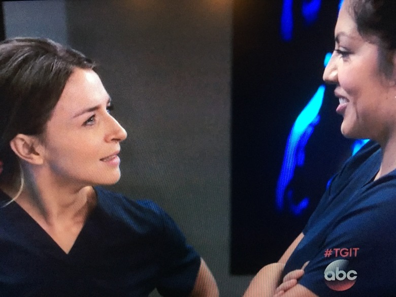 greys-anatomy-callie-sofia-quote