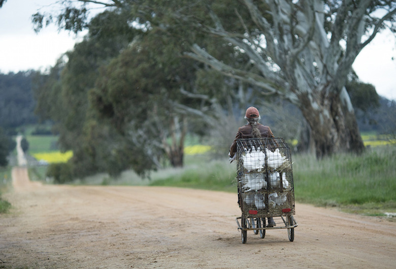 the leftovers season 3 photos
