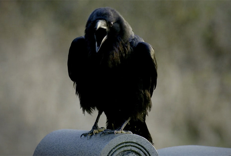 The Vampire Diaries Pilot