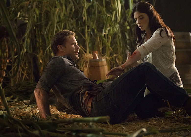 Vampire Diaries Season 6