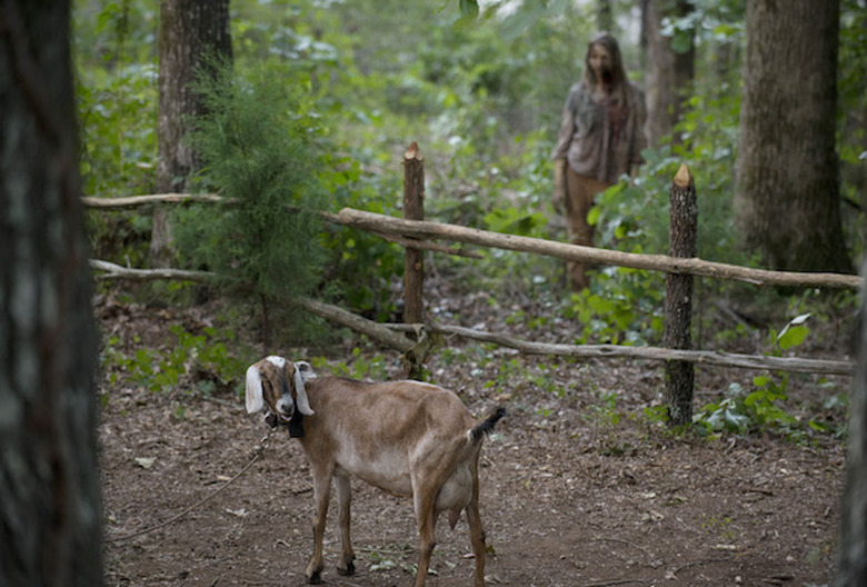 the walking dead biggest deaths ever
