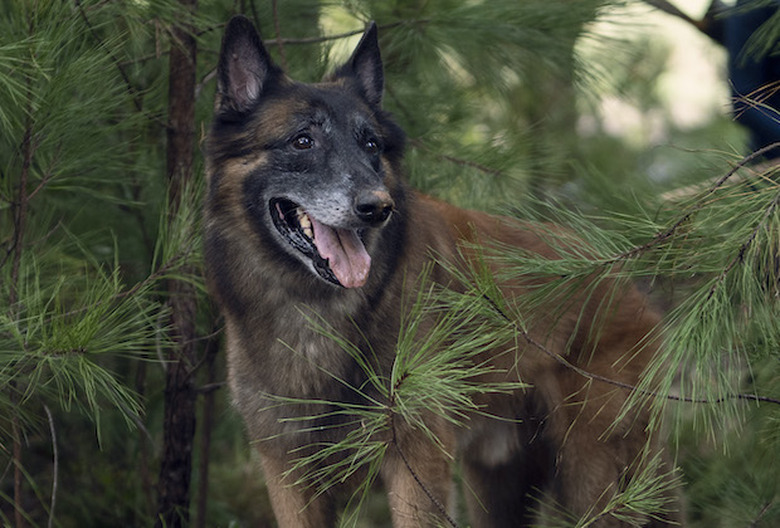 the walking dead season 10 photos