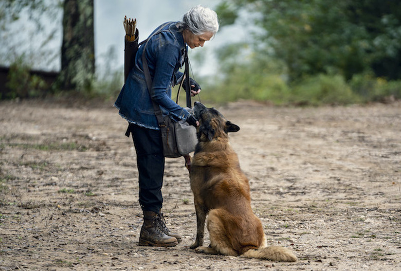 the walking dead season 10 photos