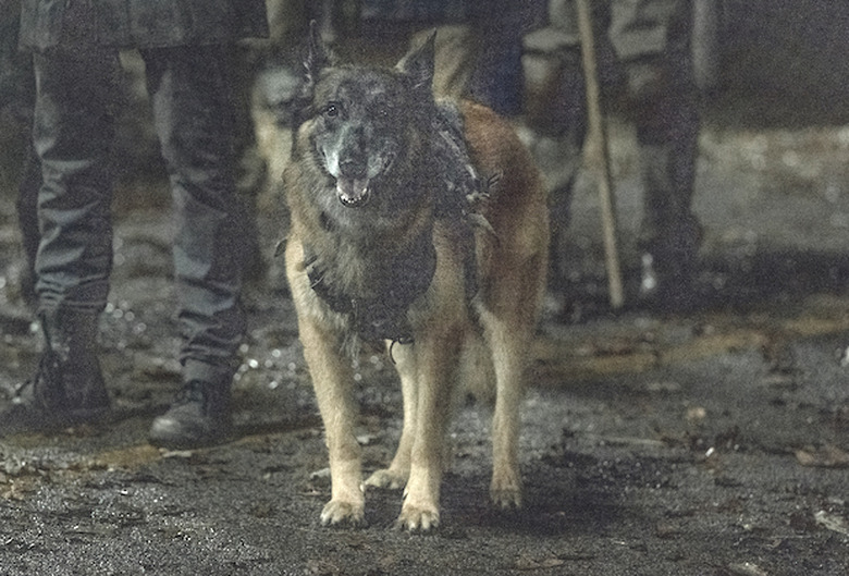 the walking dead final season 11 photos amc