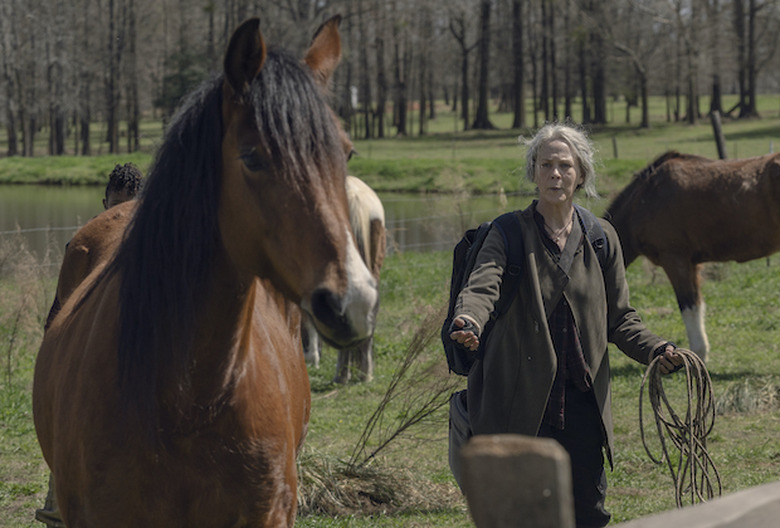 the walking dead final season 11 photos amc