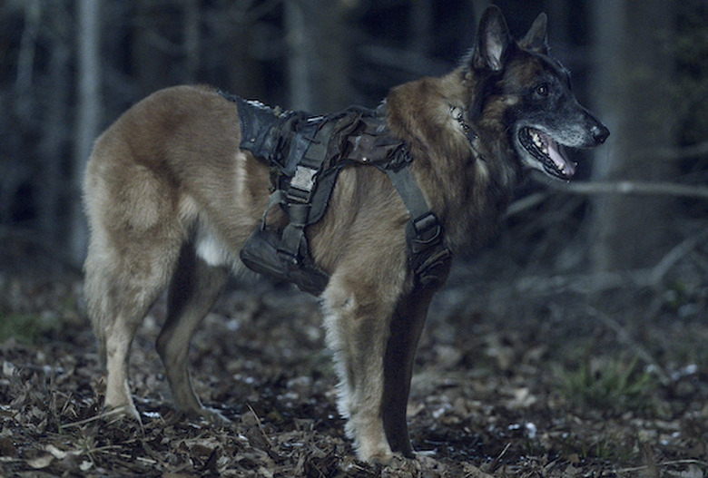 the walking dead final season 11 photos amc