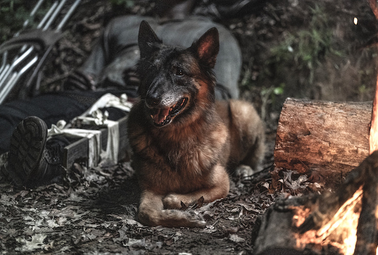 the walking dead season 11 photos final season amc