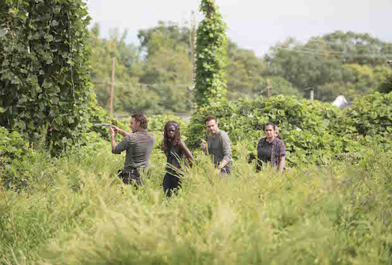 the walking dead season 7 photos