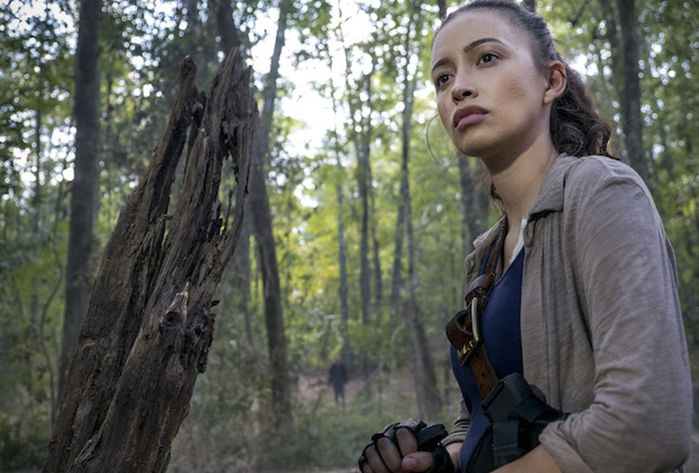 the walking dead season 8 photos